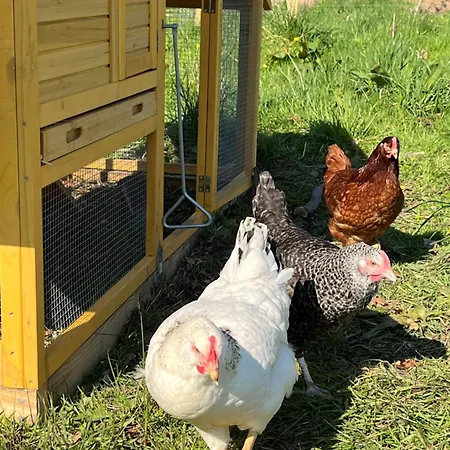 Nyaraló Manoir Avec Piscine Et Jacuzzi En Suisse Normande