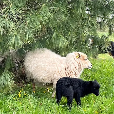 Manoir Avec Piscine Et Jacuzzi En Suisse Normande
