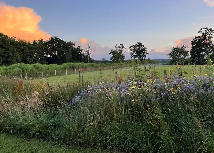 Feriehus Manoir Avec Piscine Et Jacuzzi En Suisse Normande *