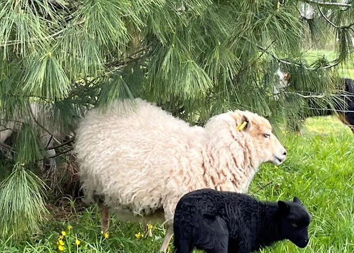 Manoir Avec Piscine Et Jacuzzi En Suisse Normande